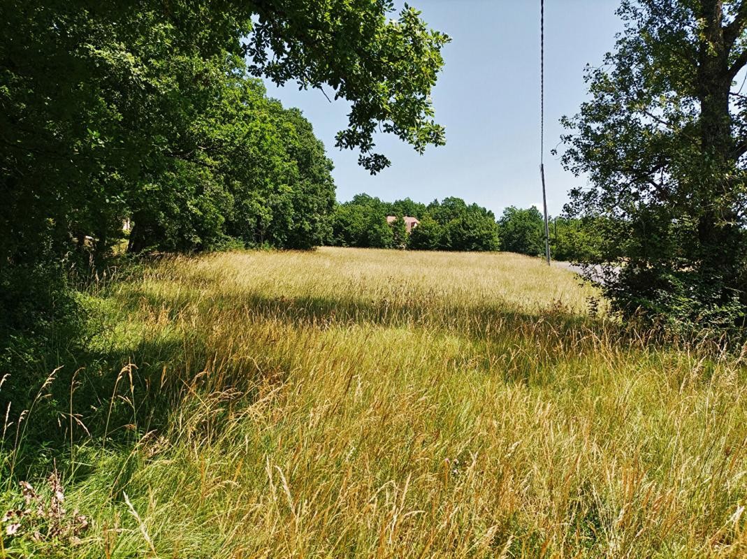 Vente Terrain à Cazals 0 pièce