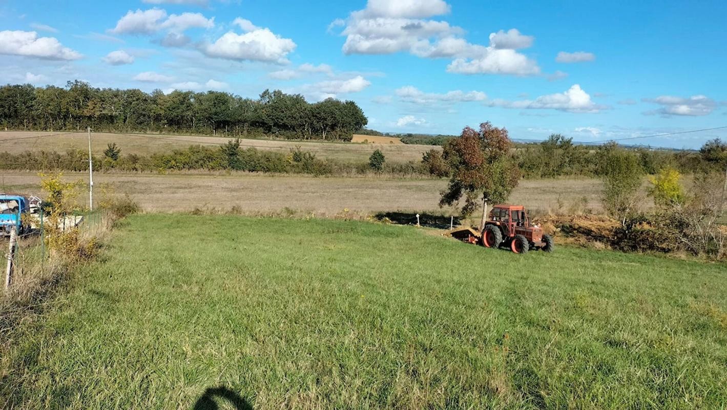 Vente Terrain à Mauvezin 0 pièce