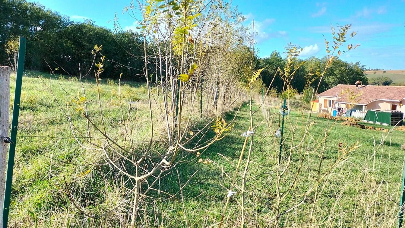 Vente Terrain à Mauvezin 0 pièce