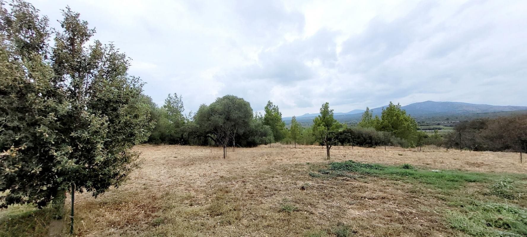 Vente Terrain à la Palme 0 pièce