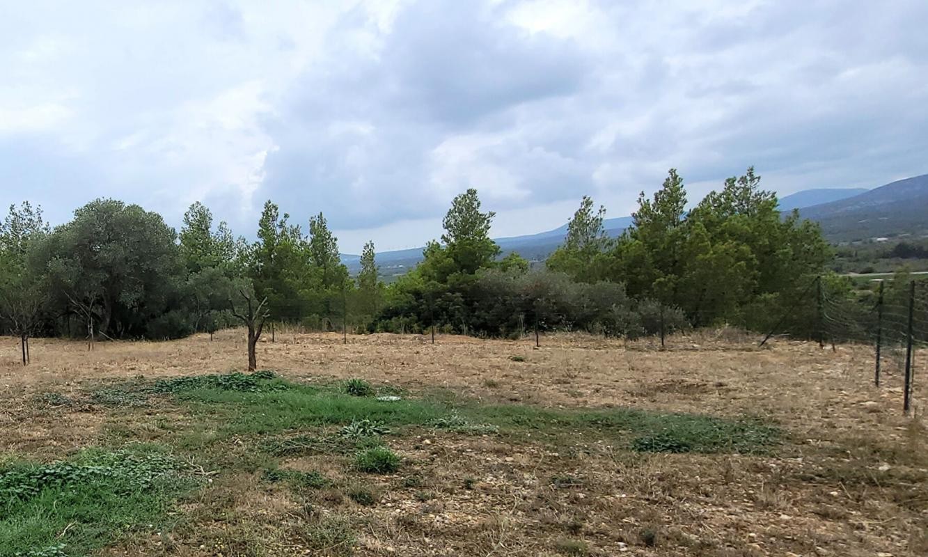 Vente Terrain à la Palme 0 pièce