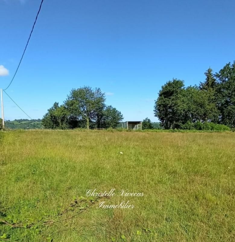 Vente Terrain à Tournay 0 pièce