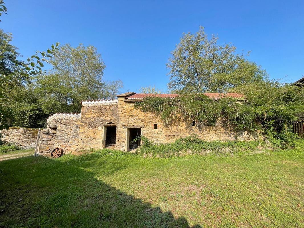 Vente Maison à Cluny 12 pièces