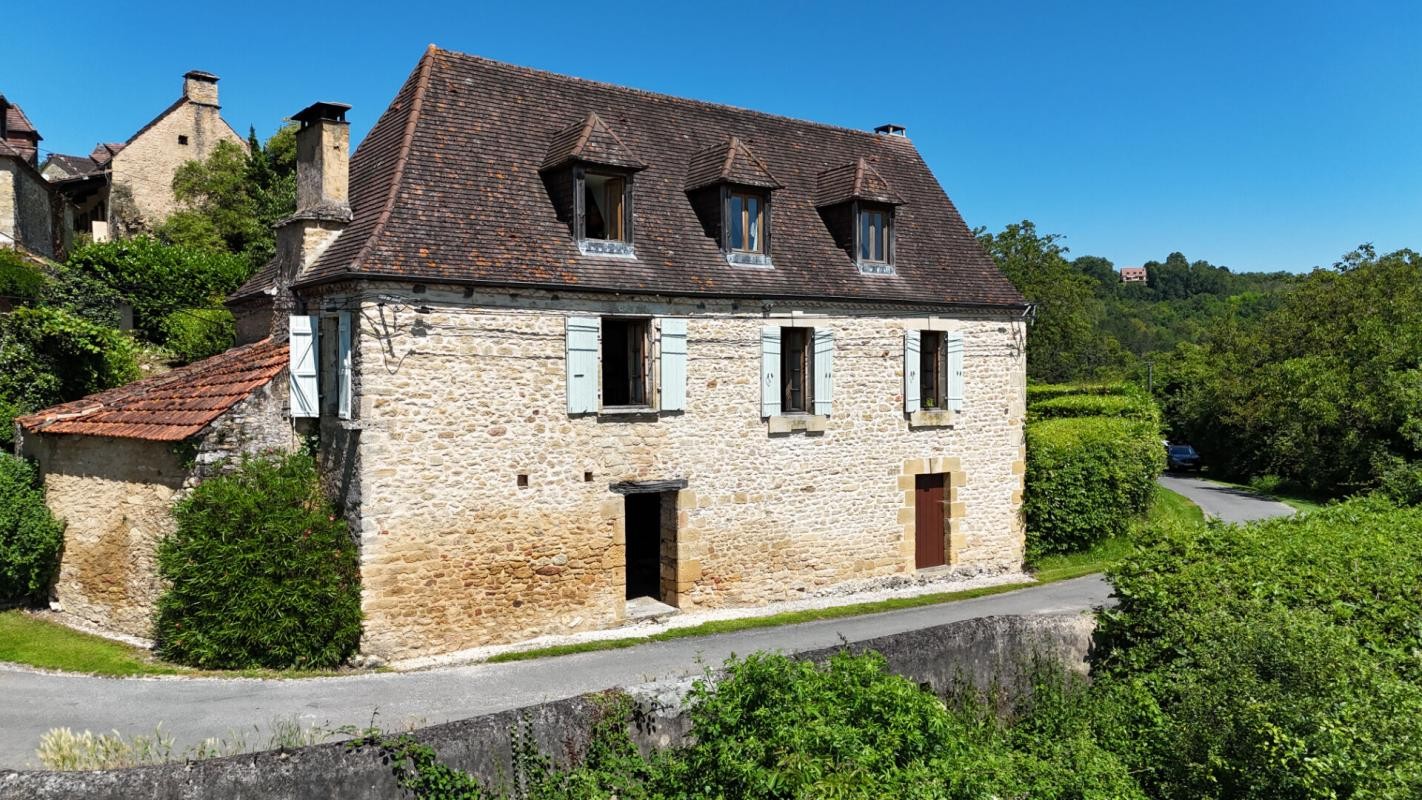 Vente Maison à Saint-Cyprien 18 pièces