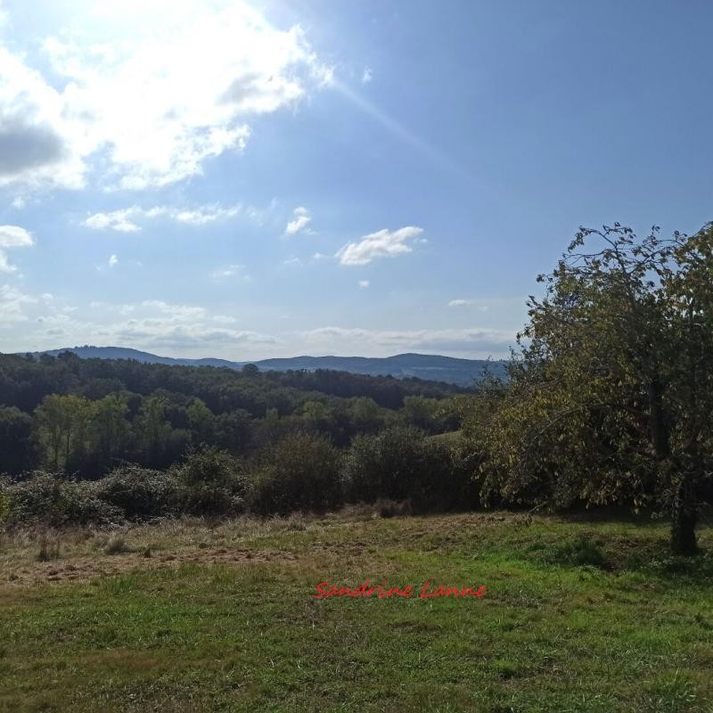 Vente Terrain à Saint-Pantaléon-de-Larche 0 pièce