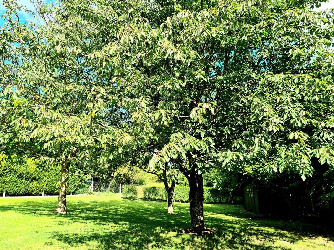 Vente Maison à la Croix-Saint-Leufroy 6 pièces