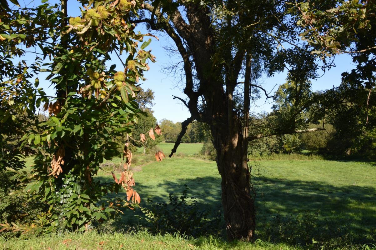 Vente Maison à Landeronde 3 pièces