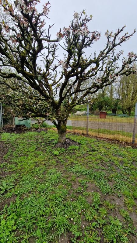 Vente Maison à Basse-Goulaine 5 pièces