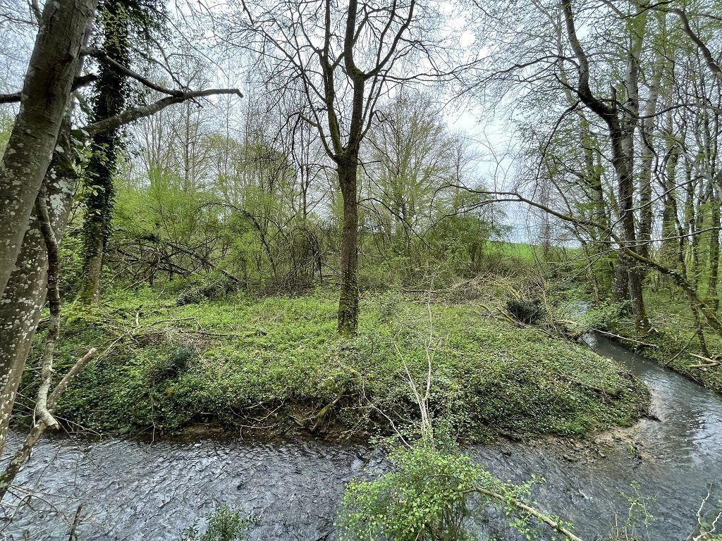 Vente Terrain à Château-Renard 0 pièce