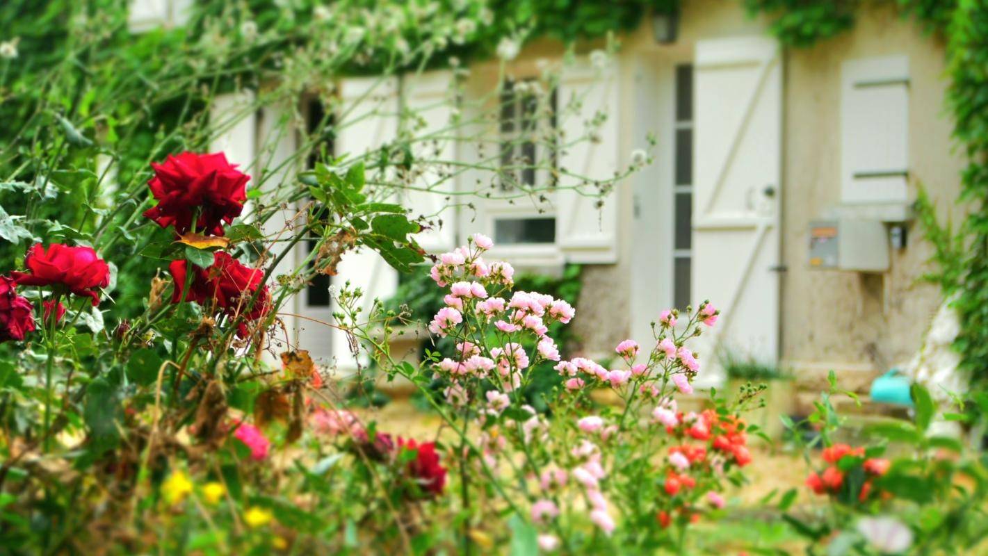 Vente Maison à Chemillé-Melay 10 pièces