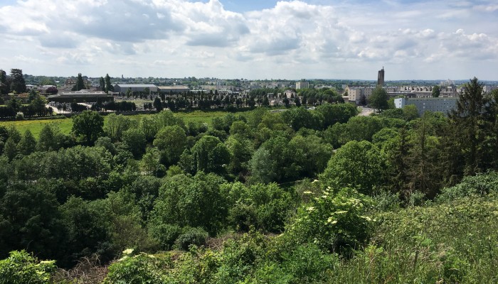 Vente Terrain à Saint-Lô 0 pièce