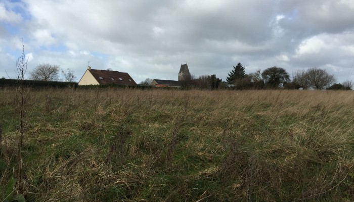 Vente Terrain à la Haye-du-Puits 0 pièce