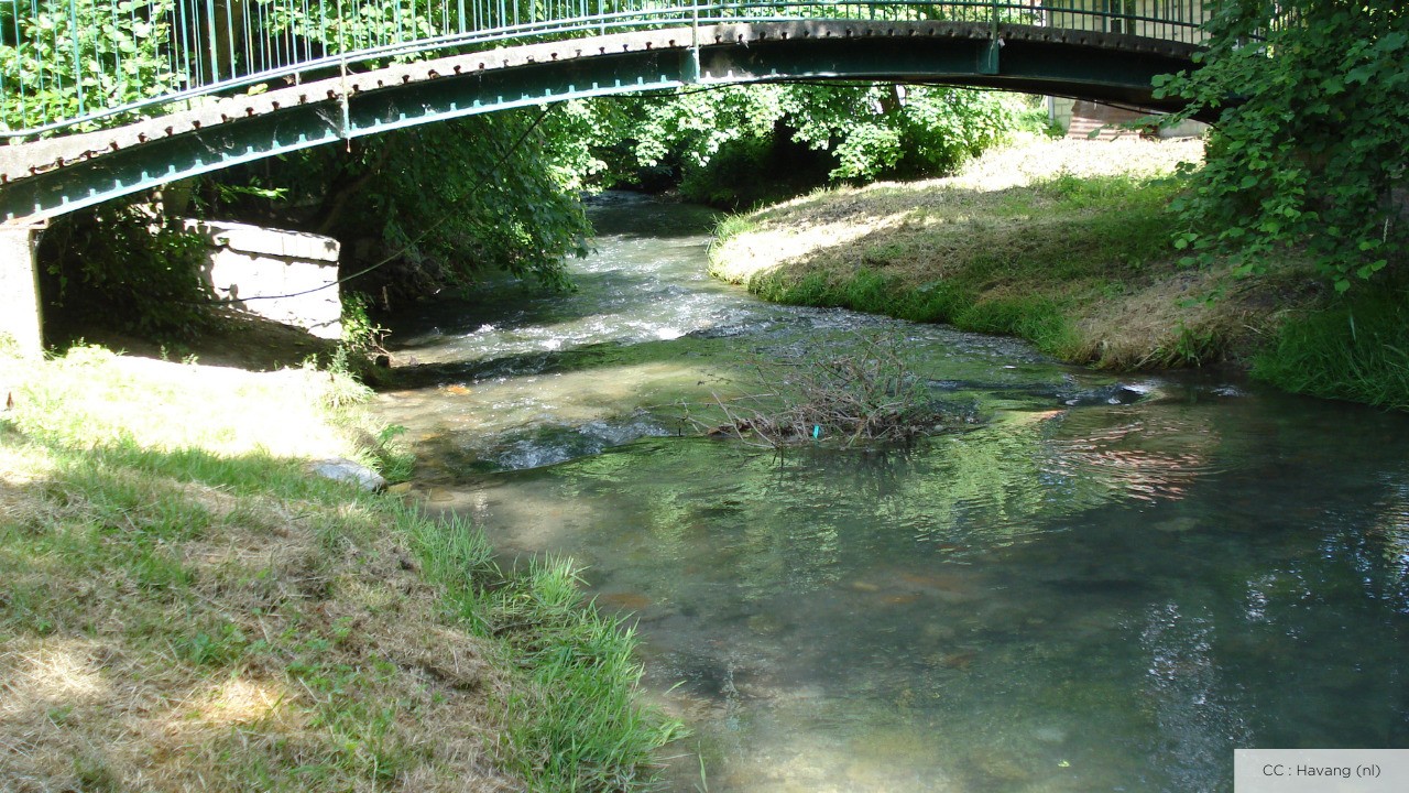 Vente Terrain à Rethel 0 pièce