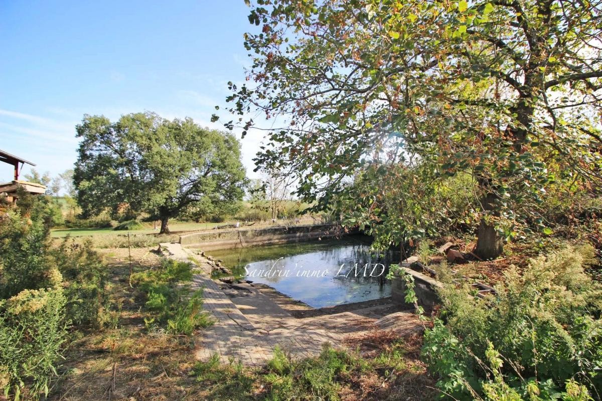 Vente Maison à Beaumont-de-Lomagne 4 pièces