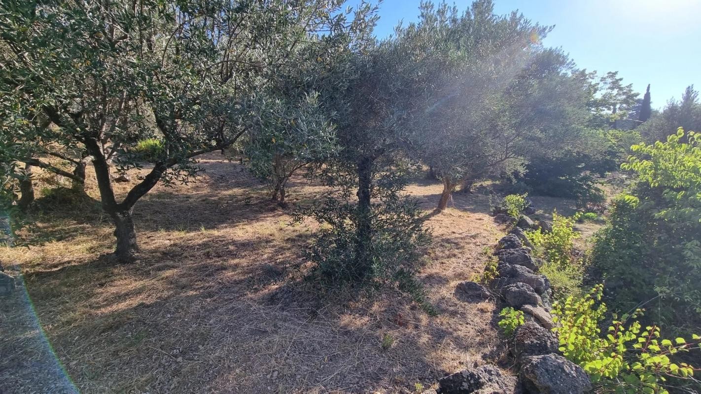 Vente Terrain à Draguignan 0 pièce