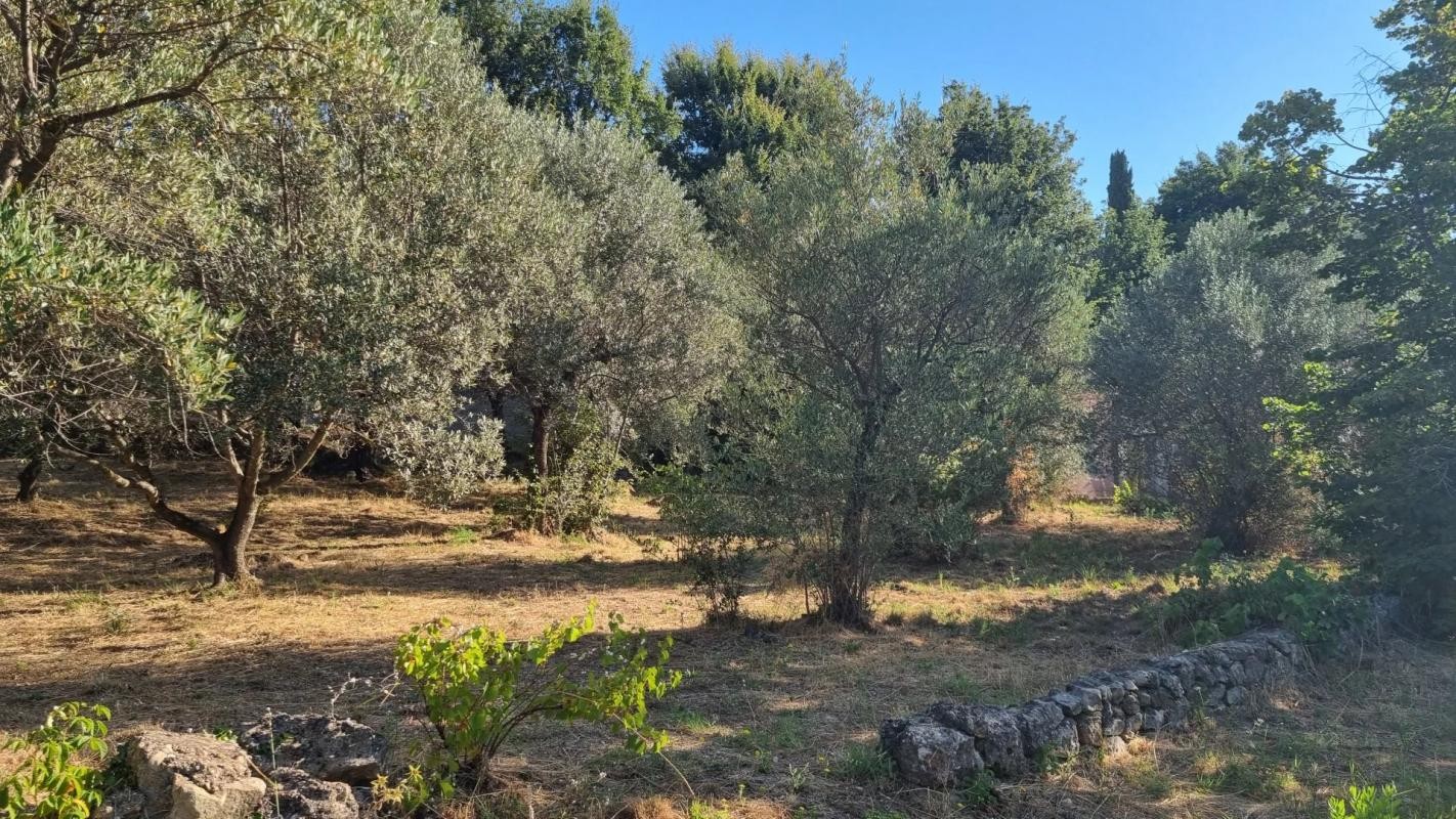 Vente Terrain à Draguignan 0 pièce