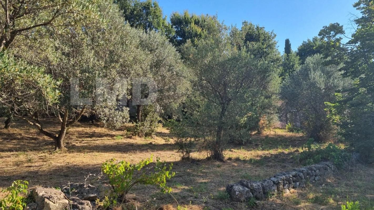 Vente Terrain à Draguignan 0 pièce