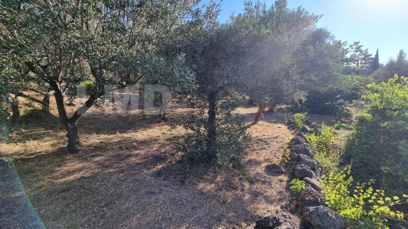 Vente Terrain à Draguignan 0 pièce