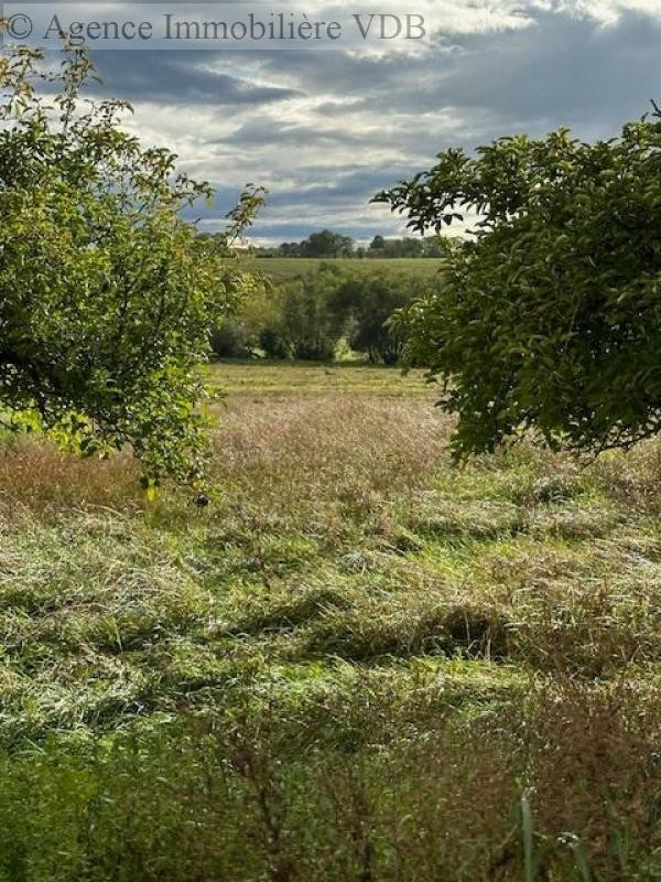 Vente Terrain à Moncel-sur-Seille 0 pièce