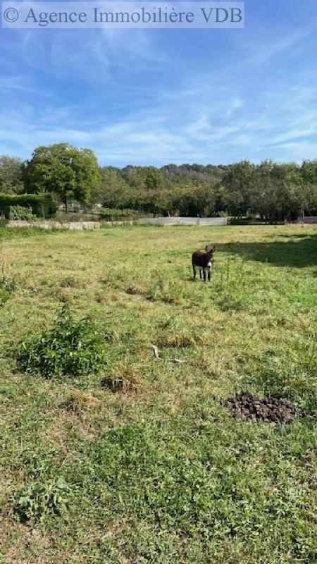 Vente Terrain à Moncel-sur-Seille 0 pièce