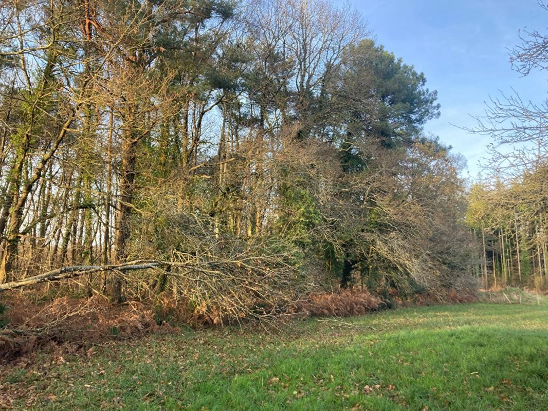 Vente Terrain à Camors 0 pièce