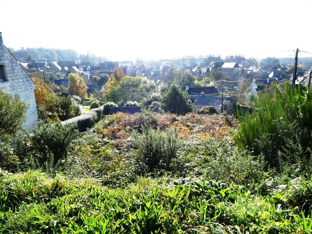 Vente Terrain à Guémené-sur-Scorff 0 pièce