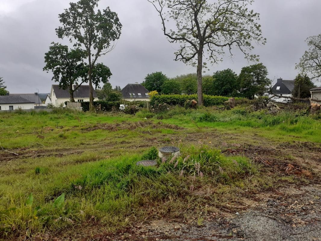 Vente Terrain à Baud 0 pièce