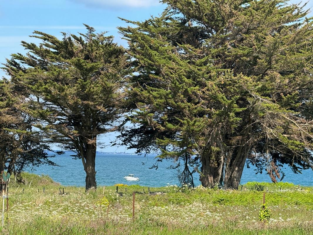 Vente Maison à Saint-Pierre-Quiberon 3 pièces