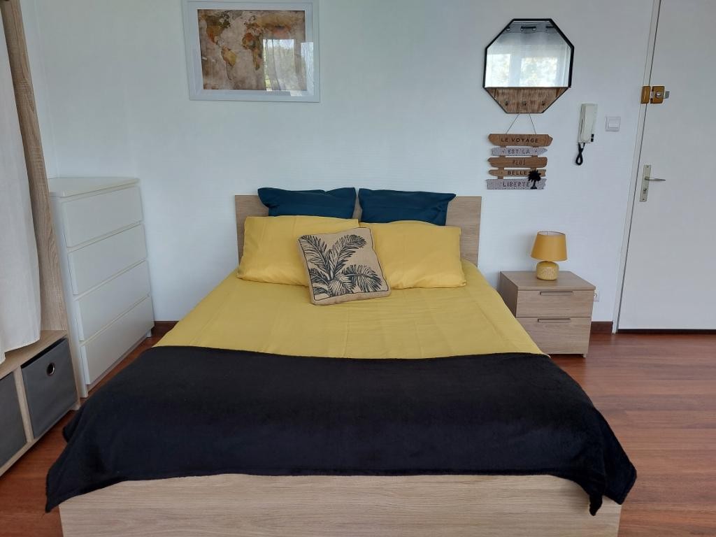 Location Appartement à Mulhouse 1 pièce