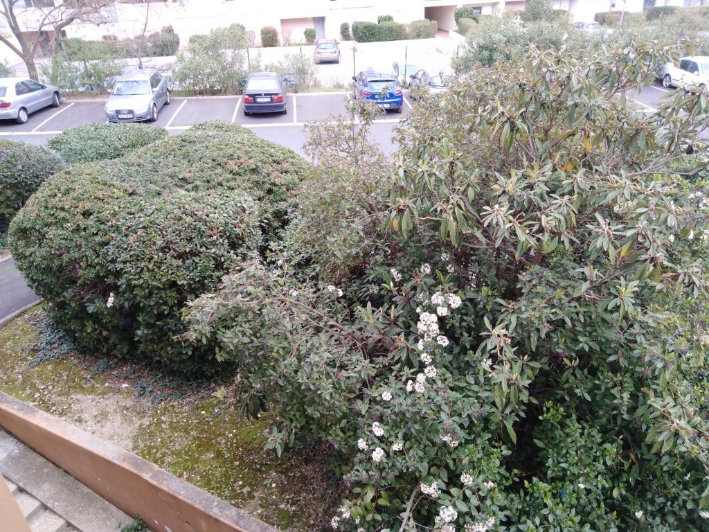 Location Appartement à Montpellier 1 pièce