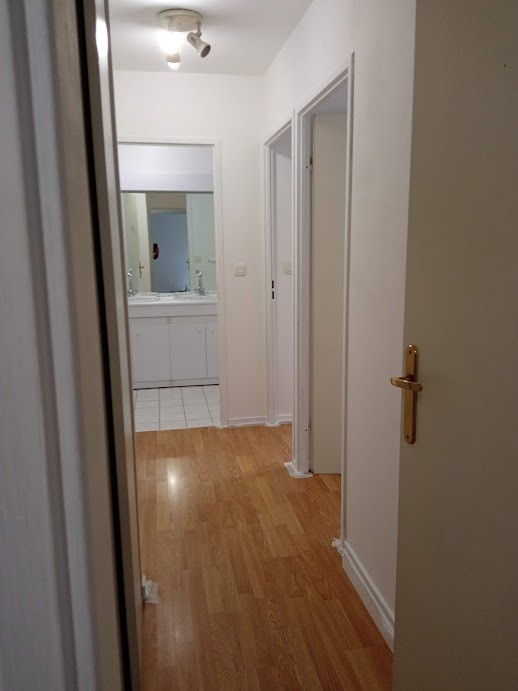 Location Appartement à Villeurbanne 3 pièces