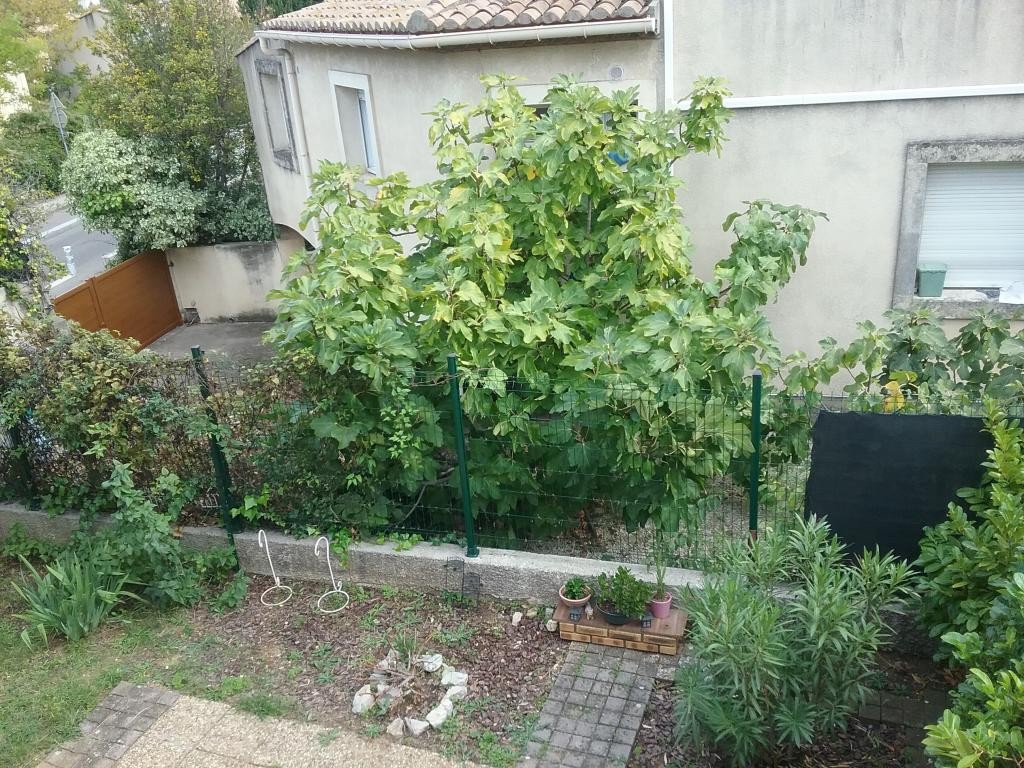 Location Appartement à Montpellier 2 pièces