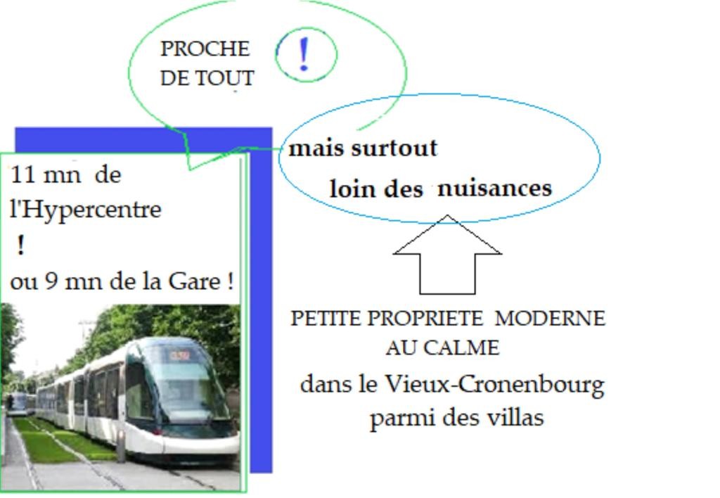 Location Appartement à Strasbourg 2 pièces