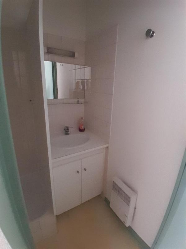 Location Appartement à Lyon 4e arrondissement 1 pièce