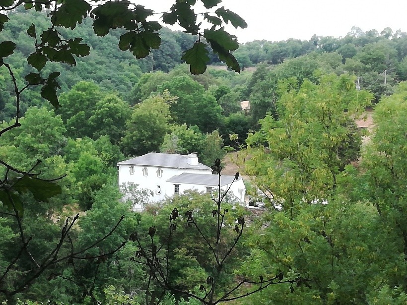 Location Maison à le Masnau-Massuguiès 4 pièces