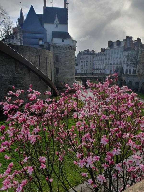 Location Appartement à Nantes 4 pièces