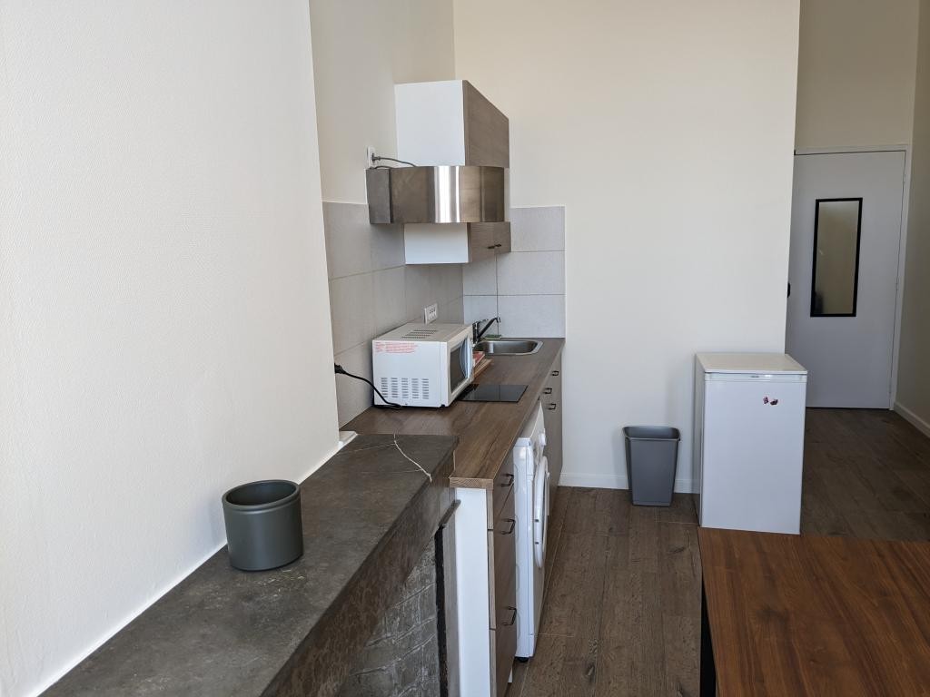 Location Appartement à Lyon 7e arrondissement 1 pièce