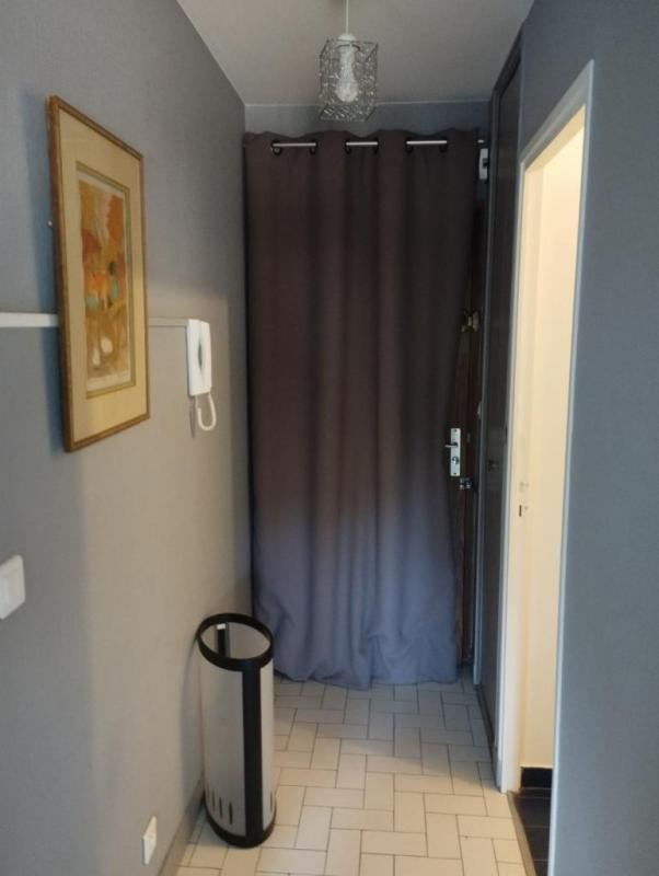 Location Appartement à Lyon 1er arrondissement 1 pièce