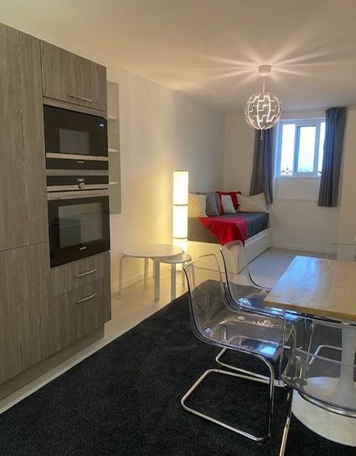 Location Appartement à Lyon 2e arrondissement 1 pièce