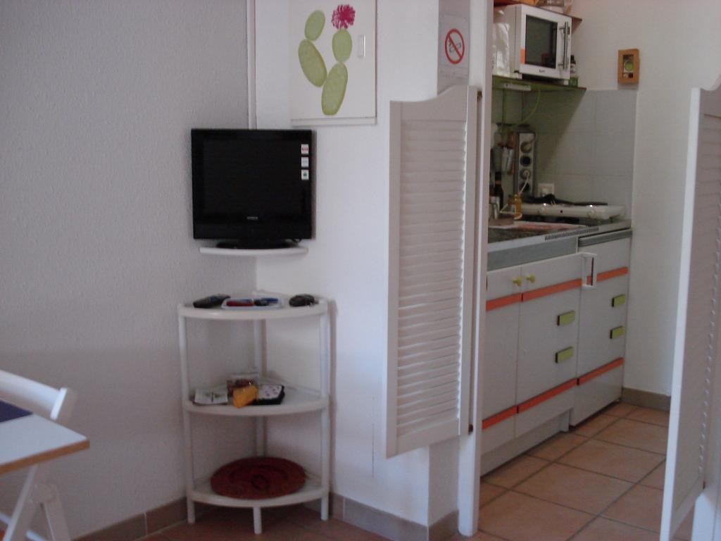 Location Appartement à Saint-Rémy-de-Provence 1 pièce