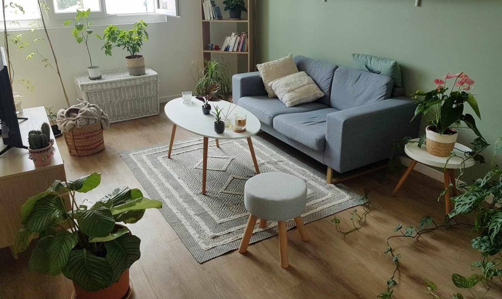 Location Appartement à Toulouse 3 pièces