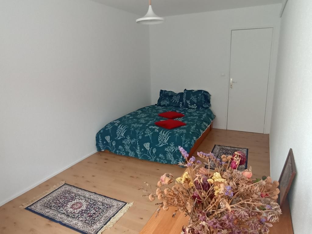 Location Appartement à Strasbourg 4 pièces