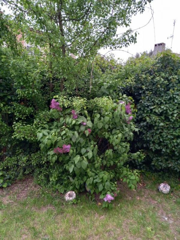 Location Appartement à Carcassonne 1 pièce