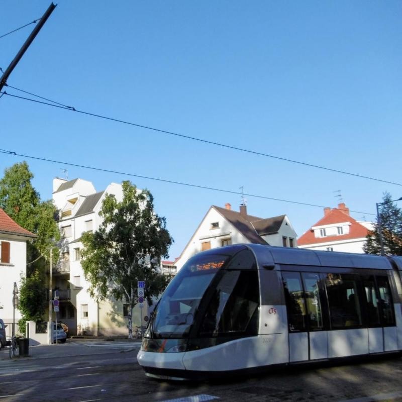 Location Appartement à Strasbourg 1 pièce