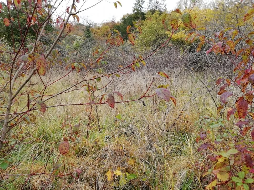 Vente Terrain à Prémery 0 pièce