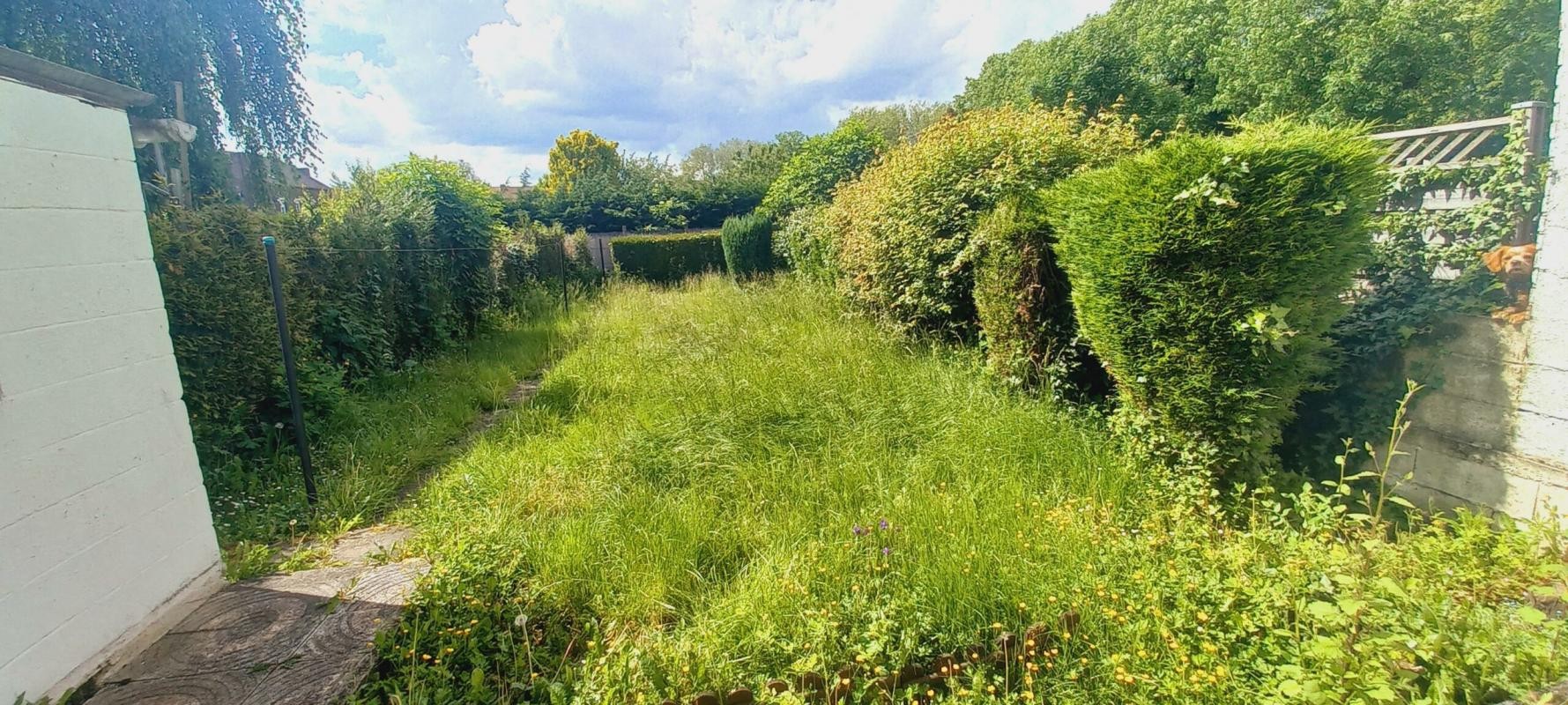 Vente Maison à Valenciennes 0 pièce