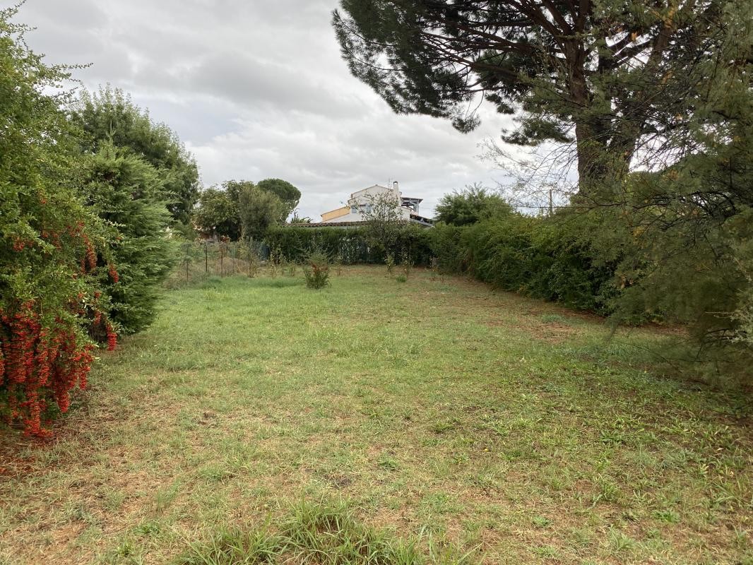 Vente Terrain à Vidauban 0 pièce