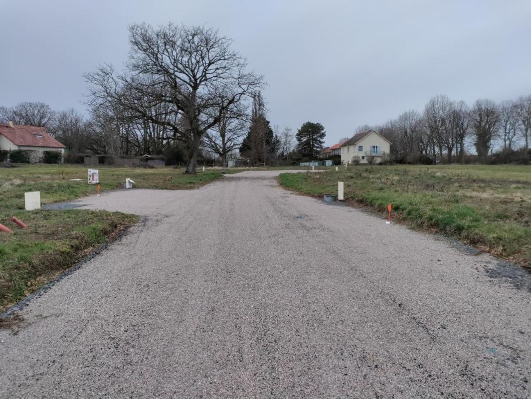 Vente Terrain à Bellerive-sur-Allier 0 pièce