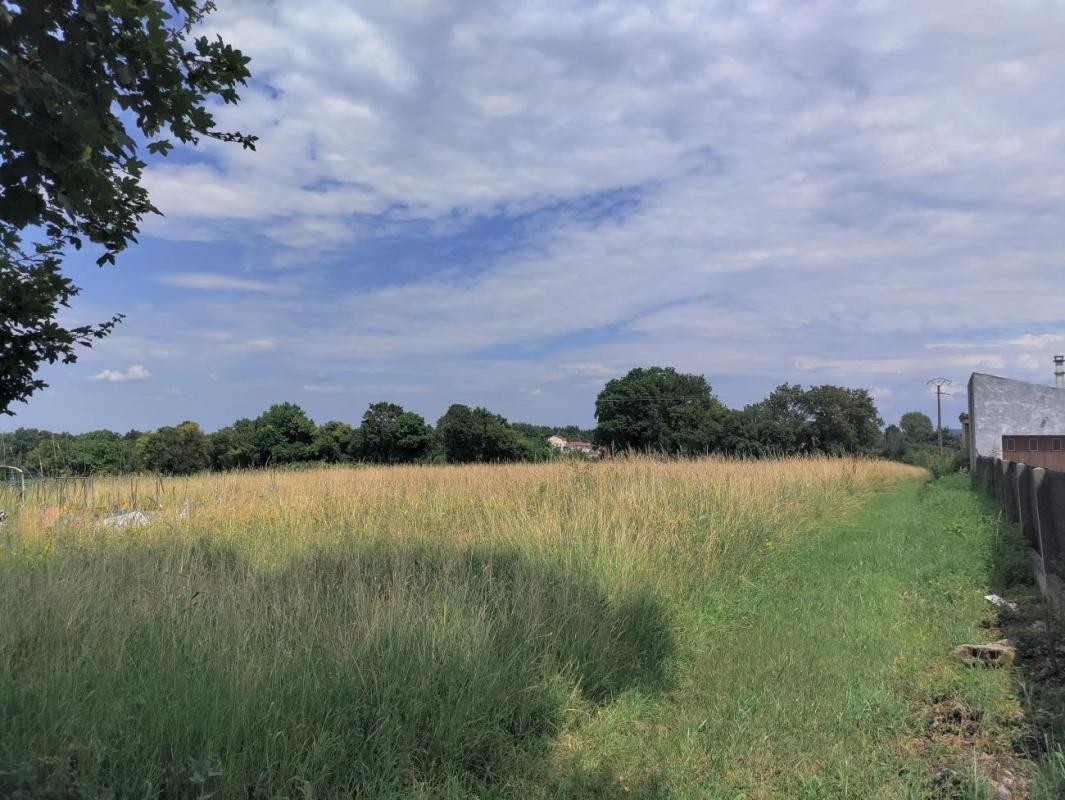 Vente Terrain à Bellerive-sur-Allier 0 pièce