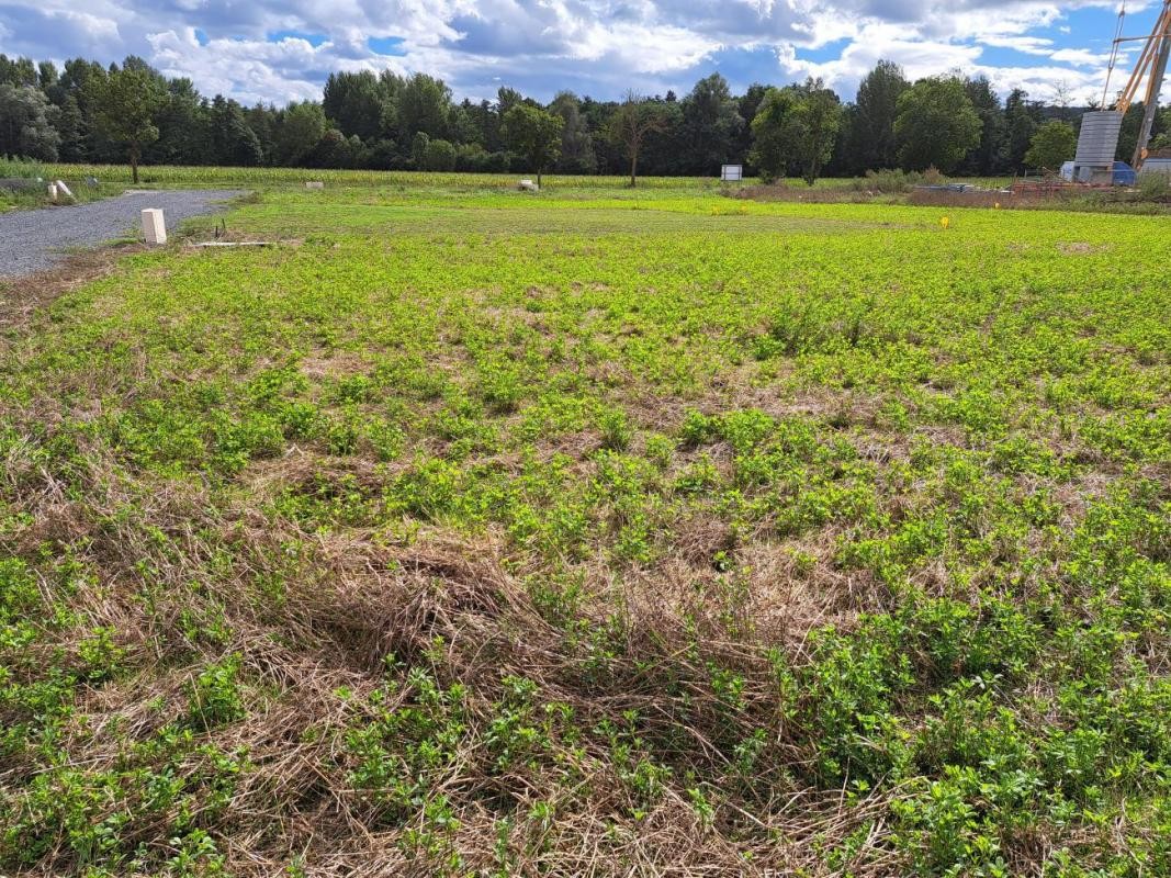 Vente Terrain à Issoire 0 pièce